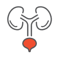 Renal Care
